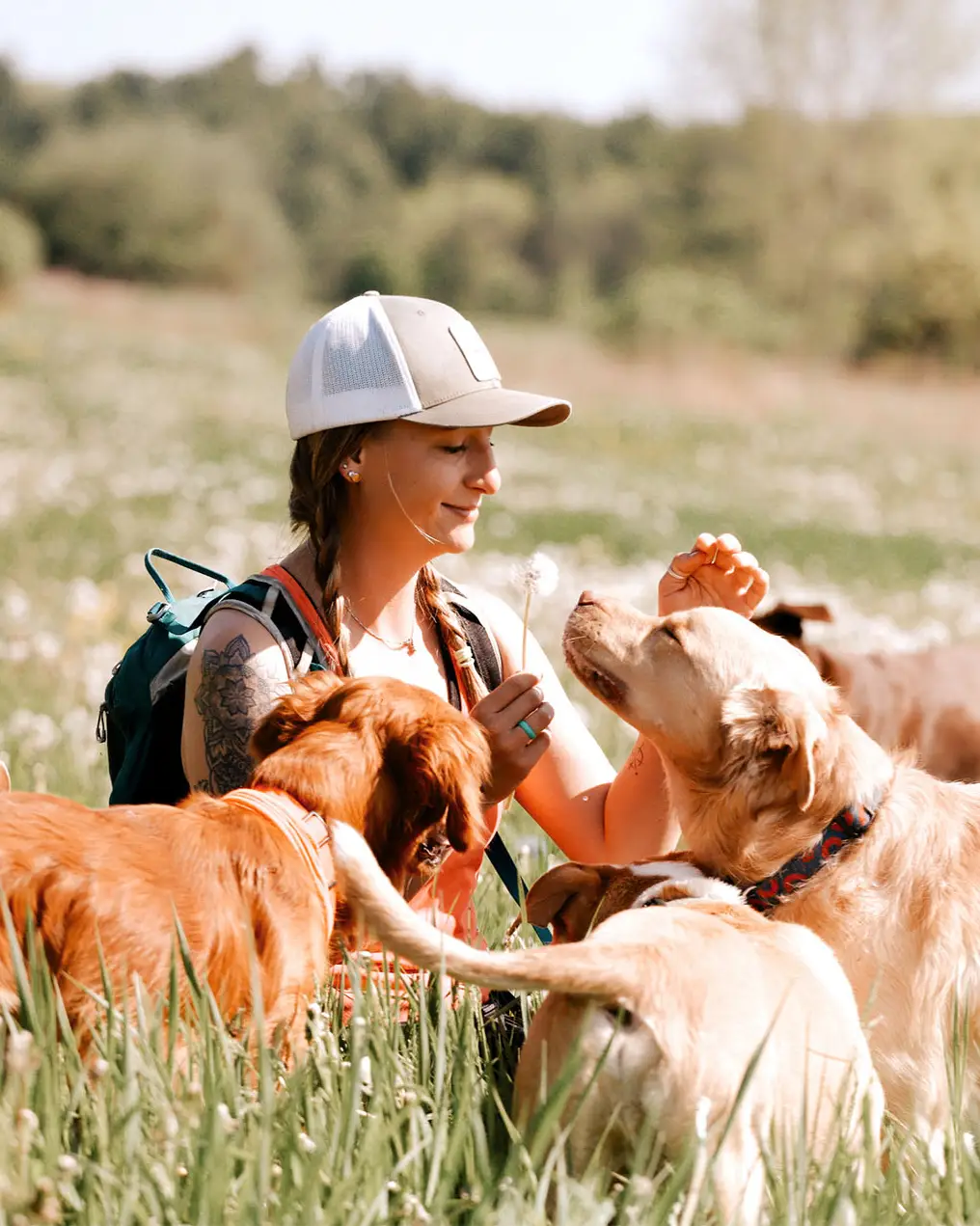 Alexx with her selected, temperament-paired pack of camp dogs