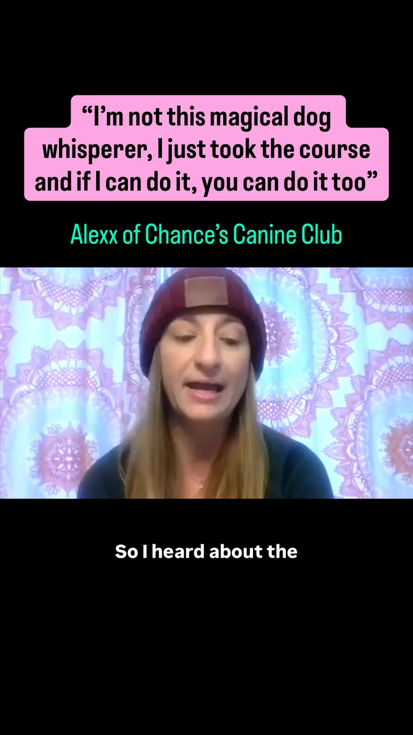 Alexx of Chance&rsquo;s Canine Club: &ldquo;I&rsquo;m not this magical dog whisperer, I just took the course and if I can do it, you can do it too.&rdquo;