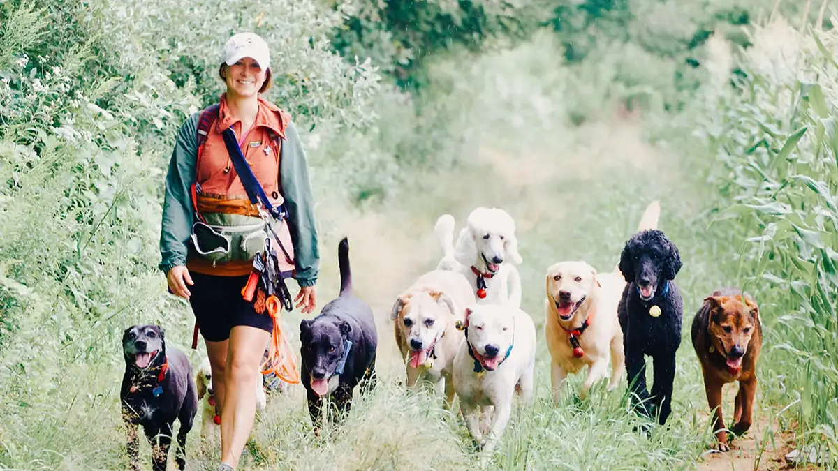 Brie leading her pack down a summer trail