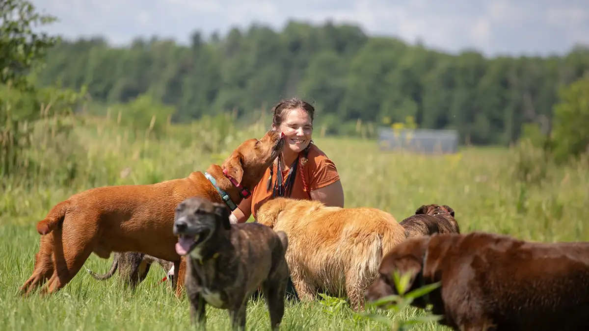 Cassidy laughing in a summer field as one of her dogs reaches up to her face