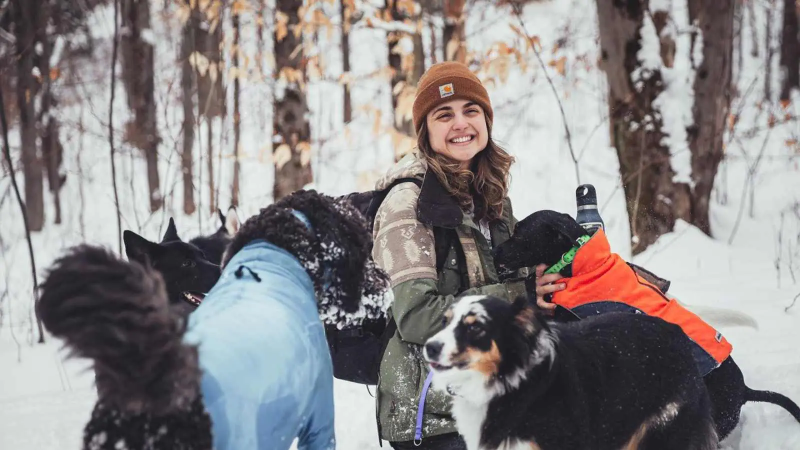 Courtney laughing on a snowy trail surrounded by her dog camp pack
