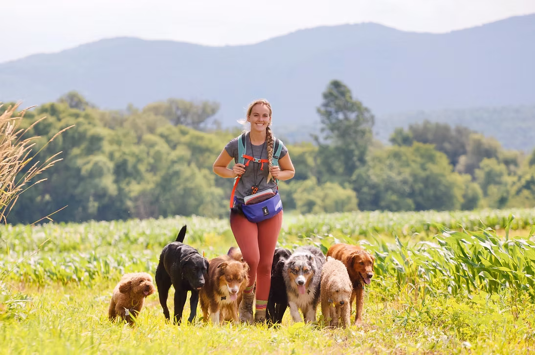 Emma with the pack