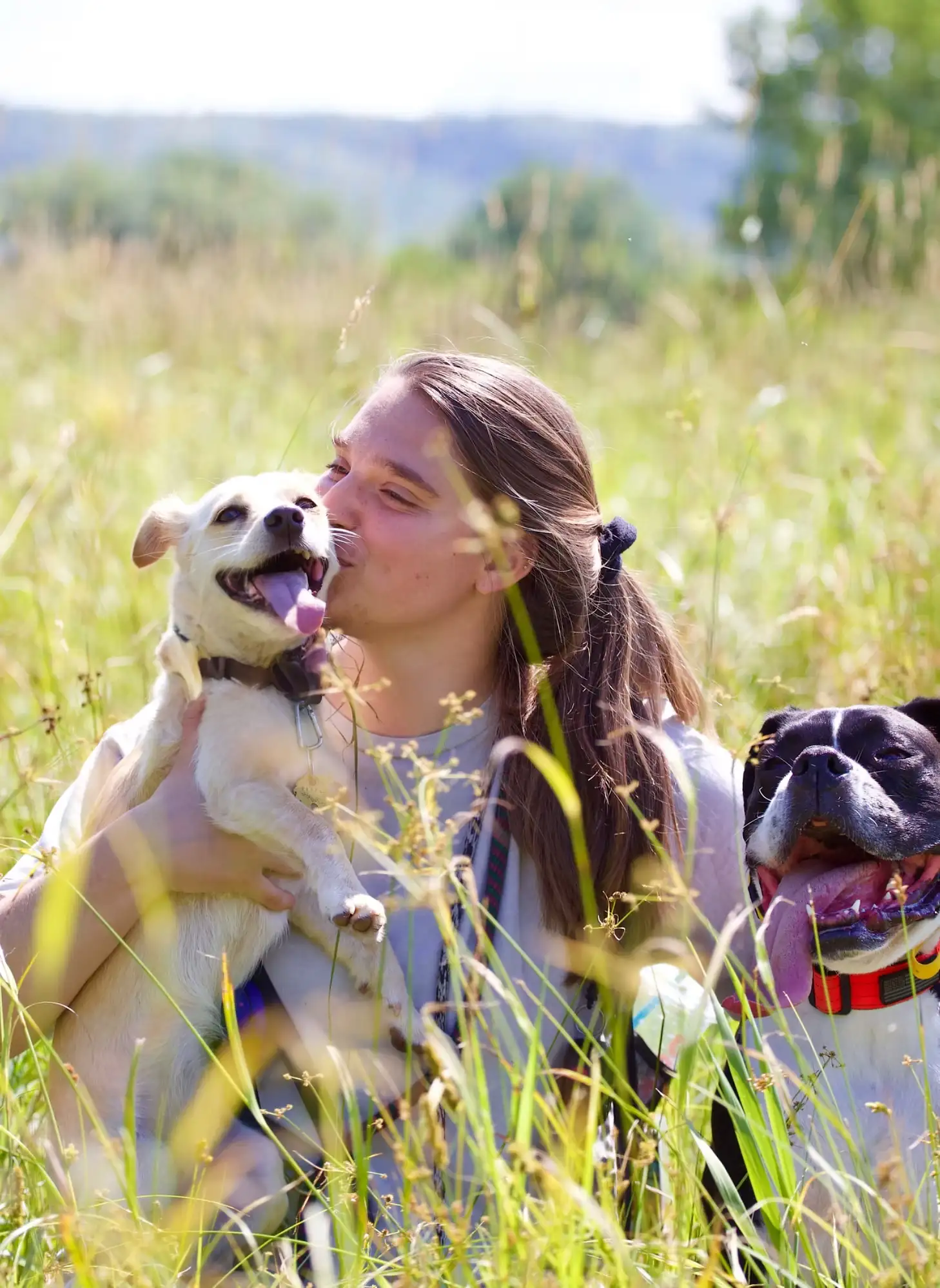 Jess sitting in a summer meadow holding a small dog mid-lick, a second dog beside her