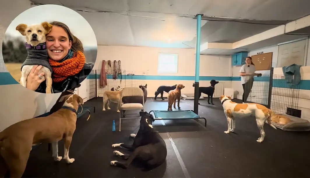 Jess Gorham holding one of her dogs, beside a room of dogs resting calmly on cots at her day school