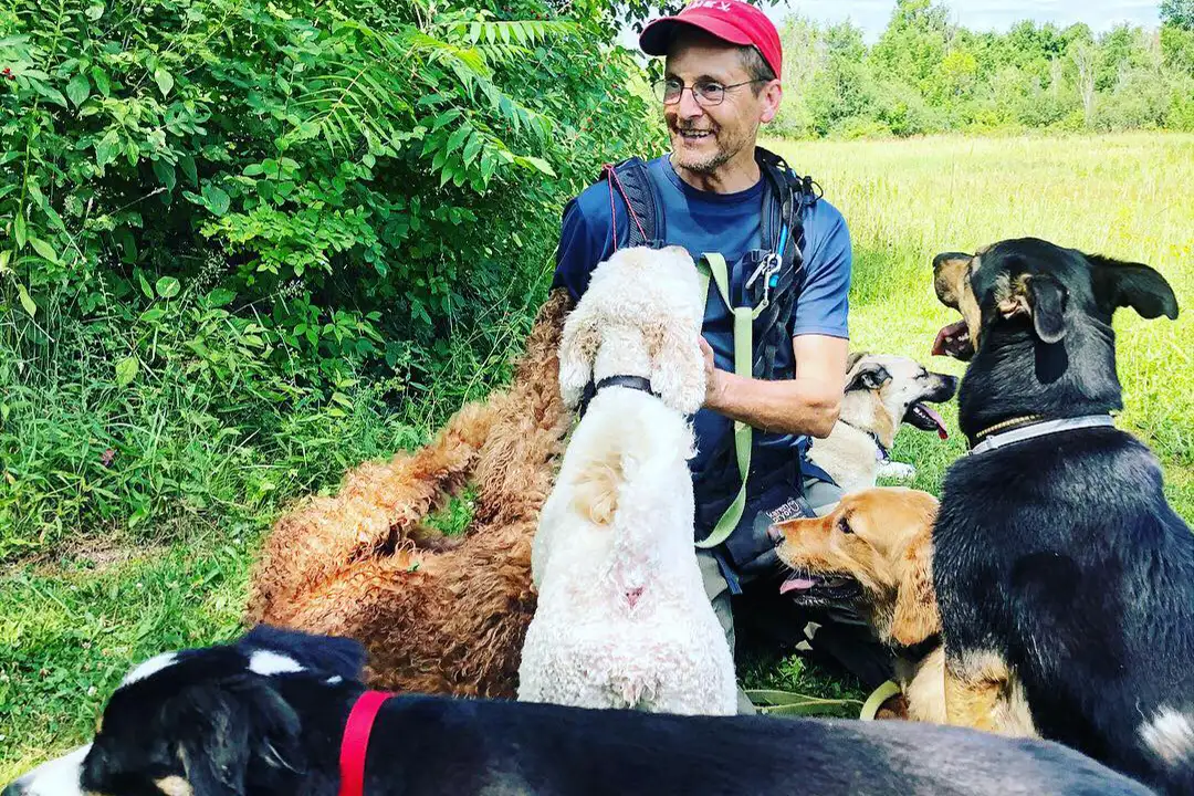 JR sitting in the grass surrounded by his pack of dogs