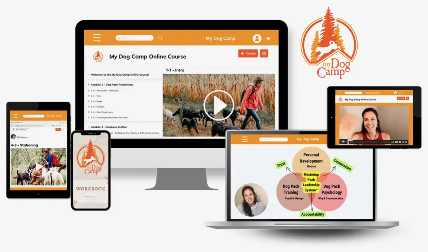 The My Dog Camp™ online course shown across a desktop, laptop, tablet and phone