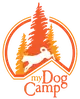 My Dog Camp