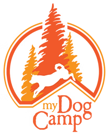 My Dog Camp