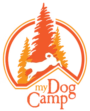 My Dog Camp