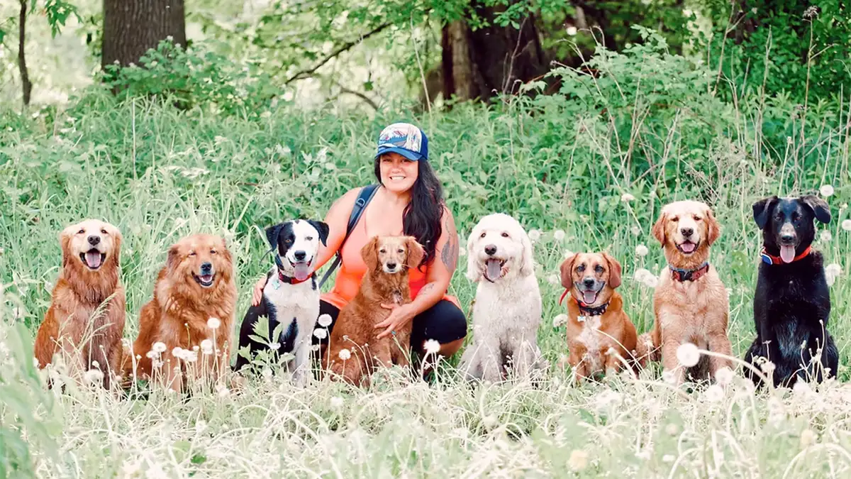 Rachel kneeling in a dandelion field with her pack sitting around her