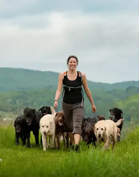 Rhonda walking with the pack on a Vermont hilltop