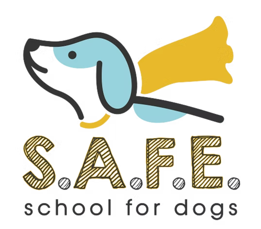 S.A.F.E. School for Dogs