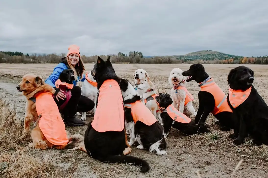 Sara crouching in a bare autumn field surrounded by her pack of dogs, all wearing orange safety vests