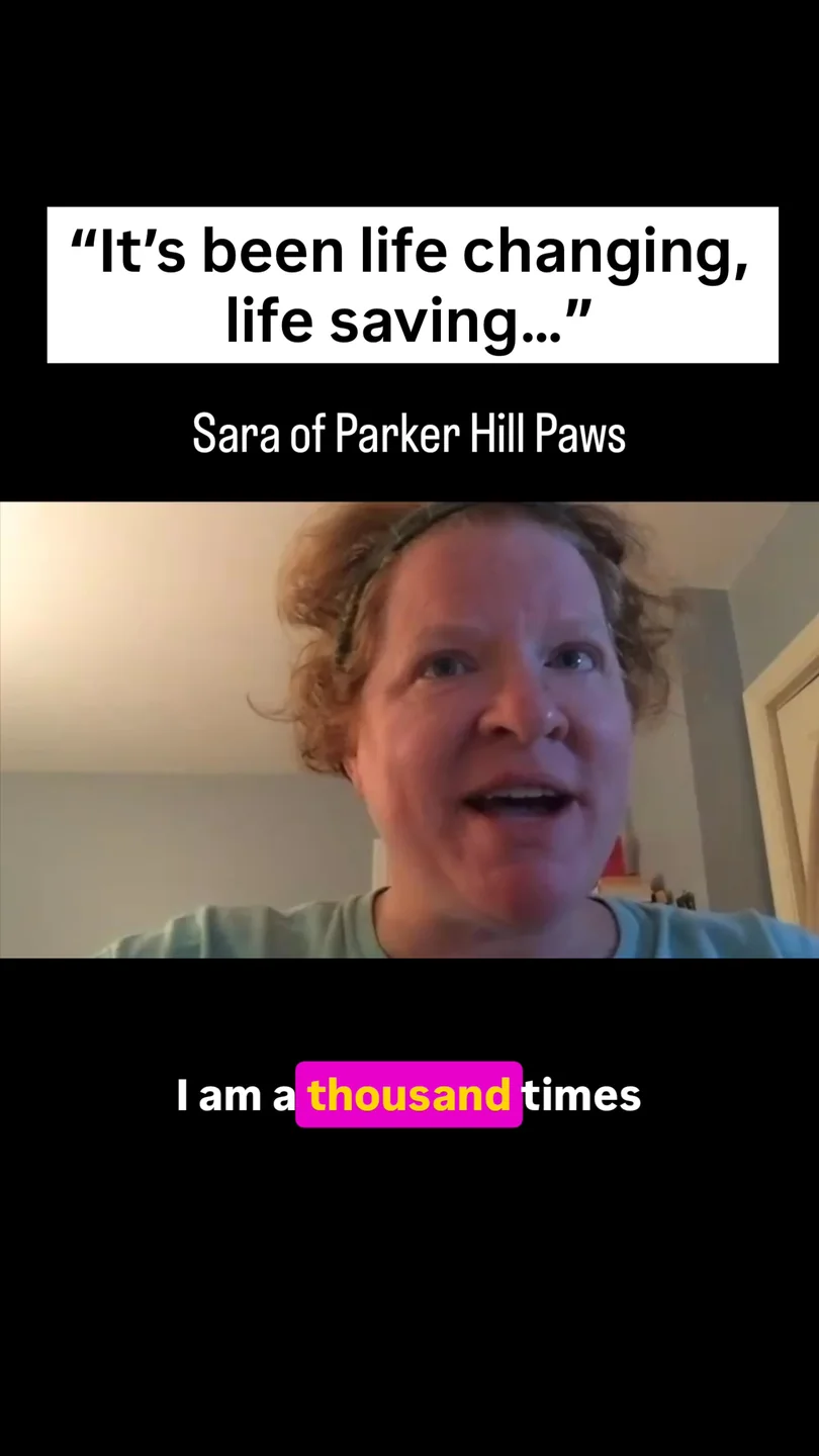 Sara of Parker Hill Paws: &ldquo;It&rsquo;s been life changing, life saving&hellip;&rdquo;
